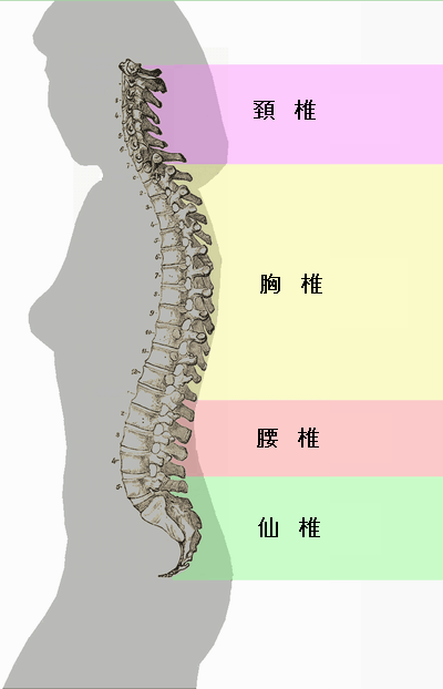 skitui